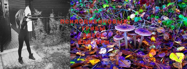 марки lsd Балахна
