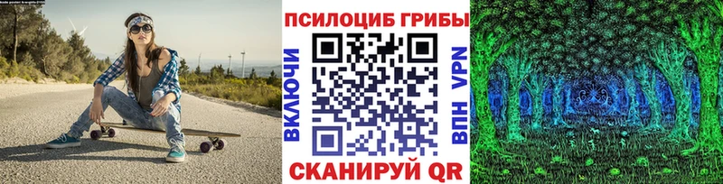 Псилоцибиновые грибы Psilocybine cubensis  Абакан 